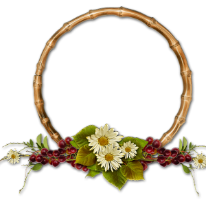 Picture, photo frame PNG