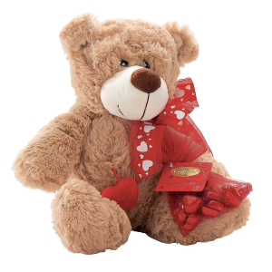 Teddy bear PNG