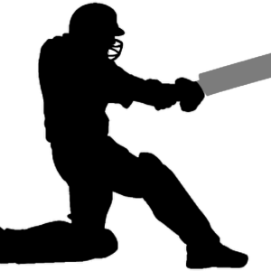 Cricket PNG
