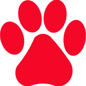 Paw PNG