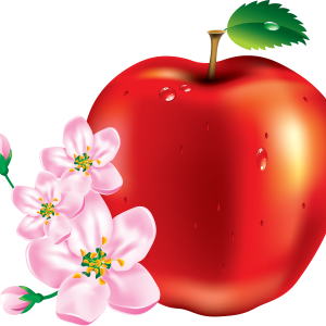 Apple PNG