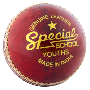 Cricket ball PNG