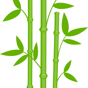 Bamboo PNG