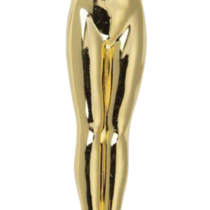 Academy Awards PNG, the Oscars PNG
