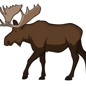 Moose, elk PNG