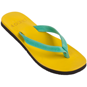 Flip-flops PNG