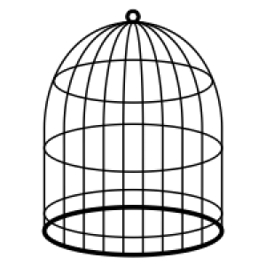 Cage bird PNG