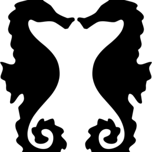 Seahorse PNG