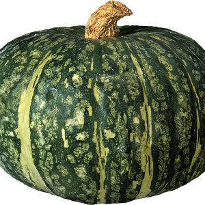 Pumpkin PNG image