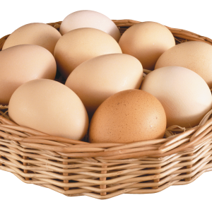 egg PNG