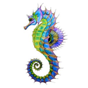 Seahorse PNG