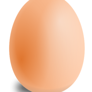 Eggs PNG