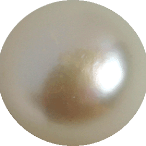 Pearl PNG