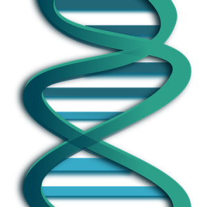 DNA PNG