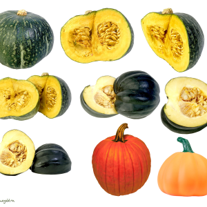 Pumpkin PNG