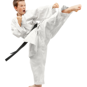 Karate PNG
