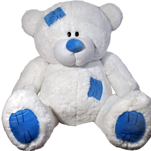 Teddy bear PNG