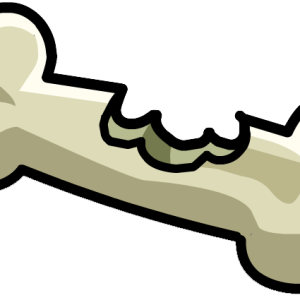 Bone PNG