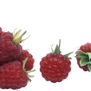 Rraspberry PNG image