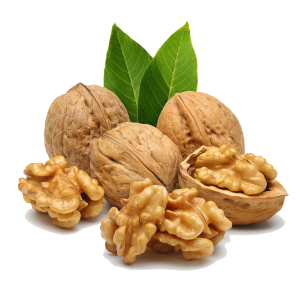 Walnut PNG