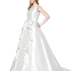 Bride dress PNG