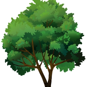 tree PNG
