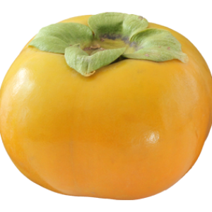 Persimmon PNG image