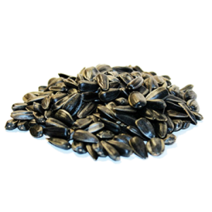 Sunflower seeds PNG