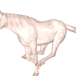 Unicorn PNG