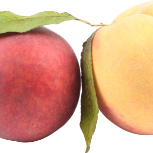 Peach PNG image