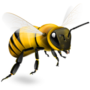 Bee PNG