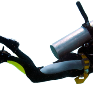 Diver PNG