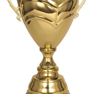 Golden cup PNG