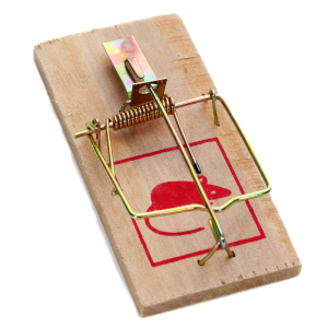 Mouse trap PNG