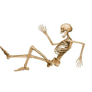 Skeleton PNG image