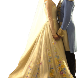 Wedding couple PNG