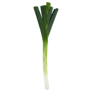 Leek PNG