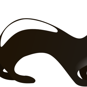 Skunk PNG