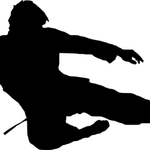 Karate PNG
