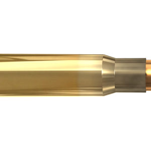 Bullets PNG image