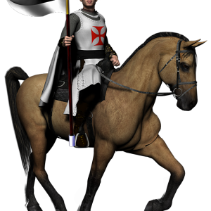 Medieval knight PNG