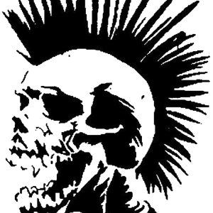Punk hair skull PNG