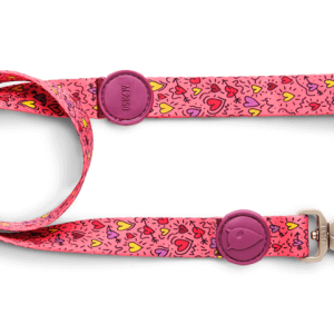 Leash PNG