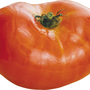 Tomato PNG