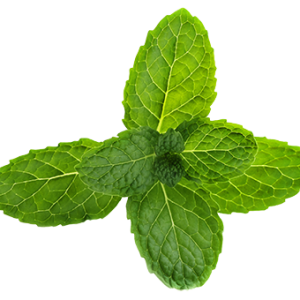 Pepermint PNG