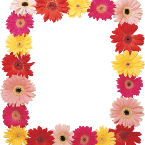 Floral frame PNG