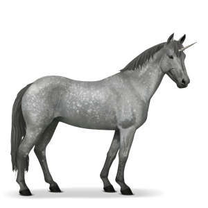 Unicorn PNG