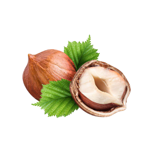 hazelnut PNG