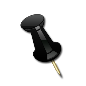 Pin PNG
