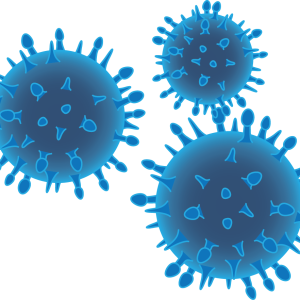Bacteria PNG